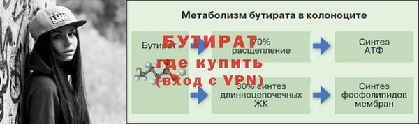 гидра Аркадак