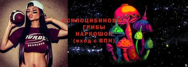 гидра Аркадак