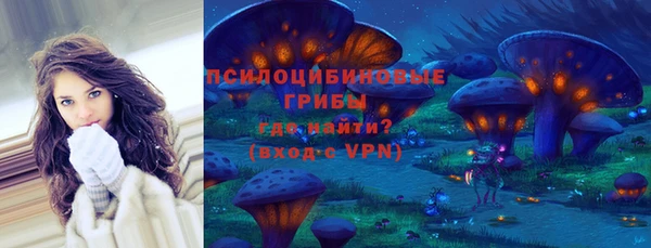 гидра Аркадак