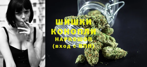 гидра Аркадак