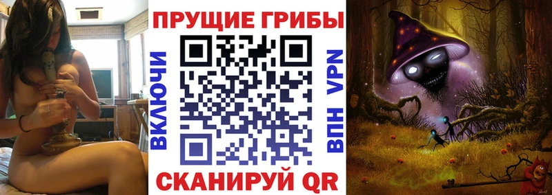 что такое наркотик  Полевской  Псилоцибиновые грибы MAGIC MUSHROOMS 